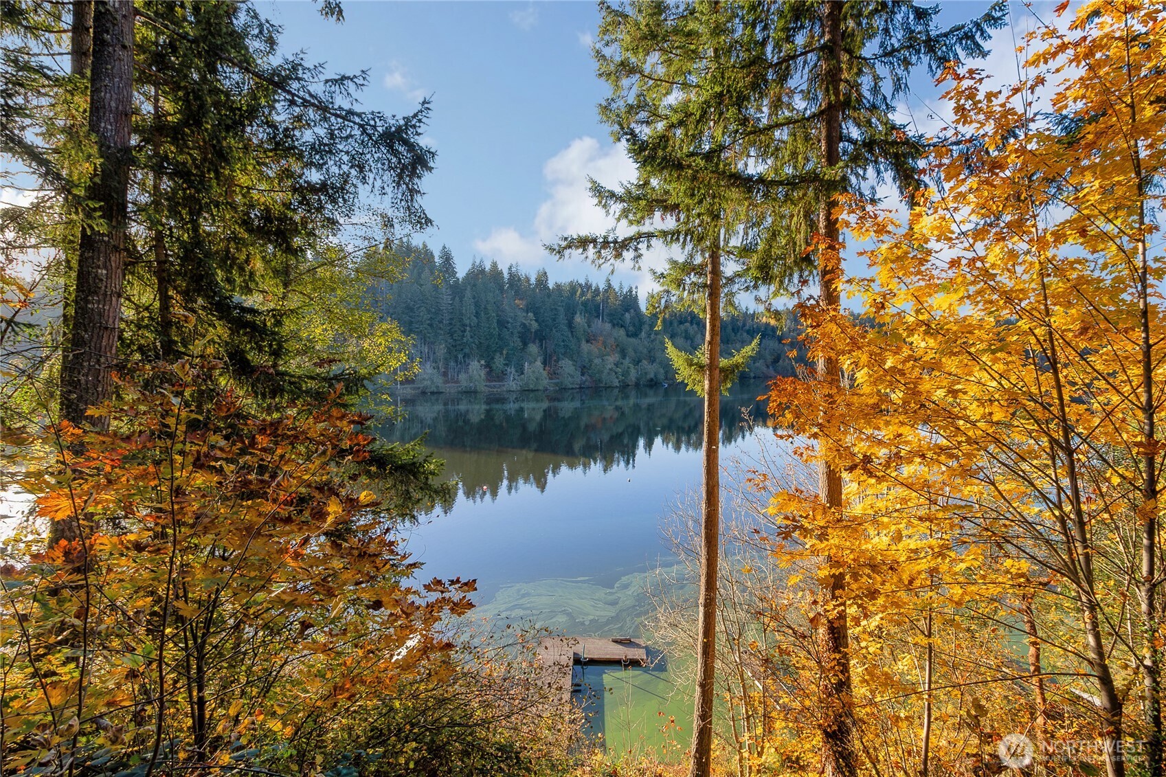 40424 Ski Park Road E