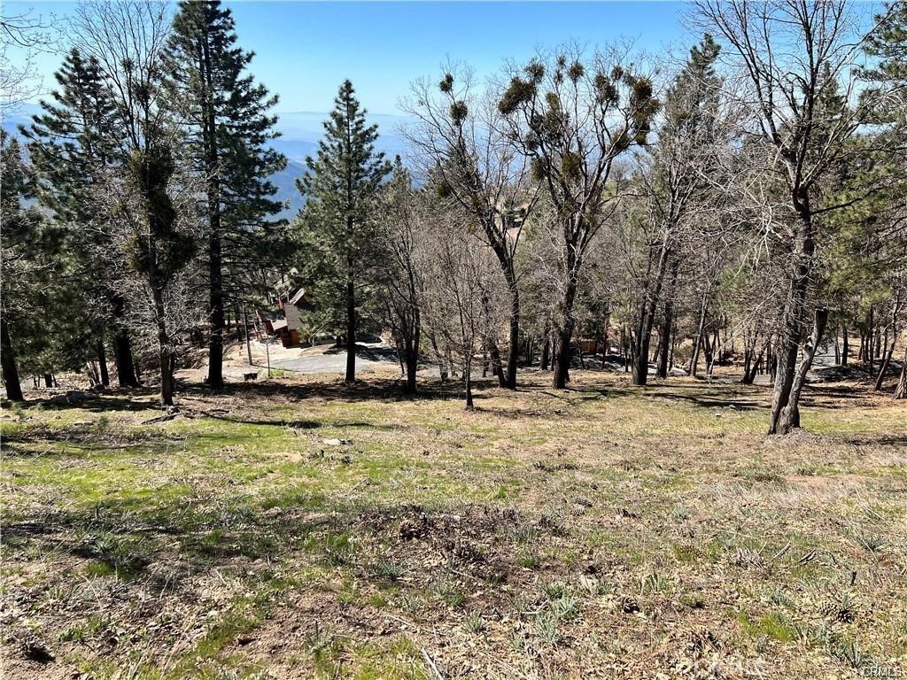 41 Fredalba Road