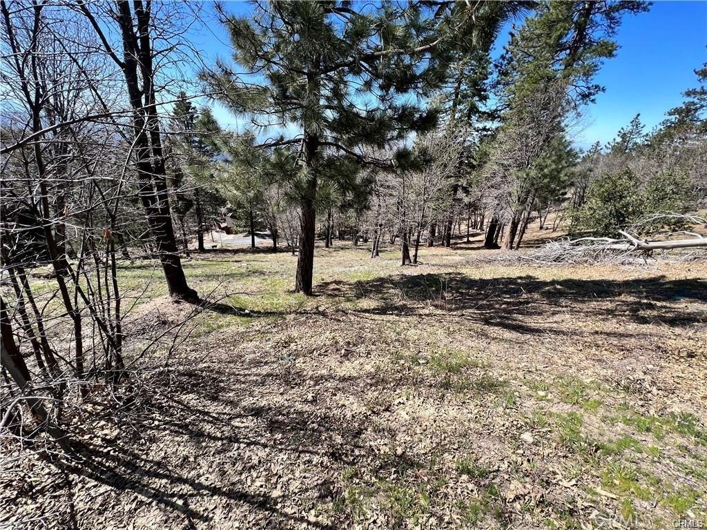 41 Fredalba Road