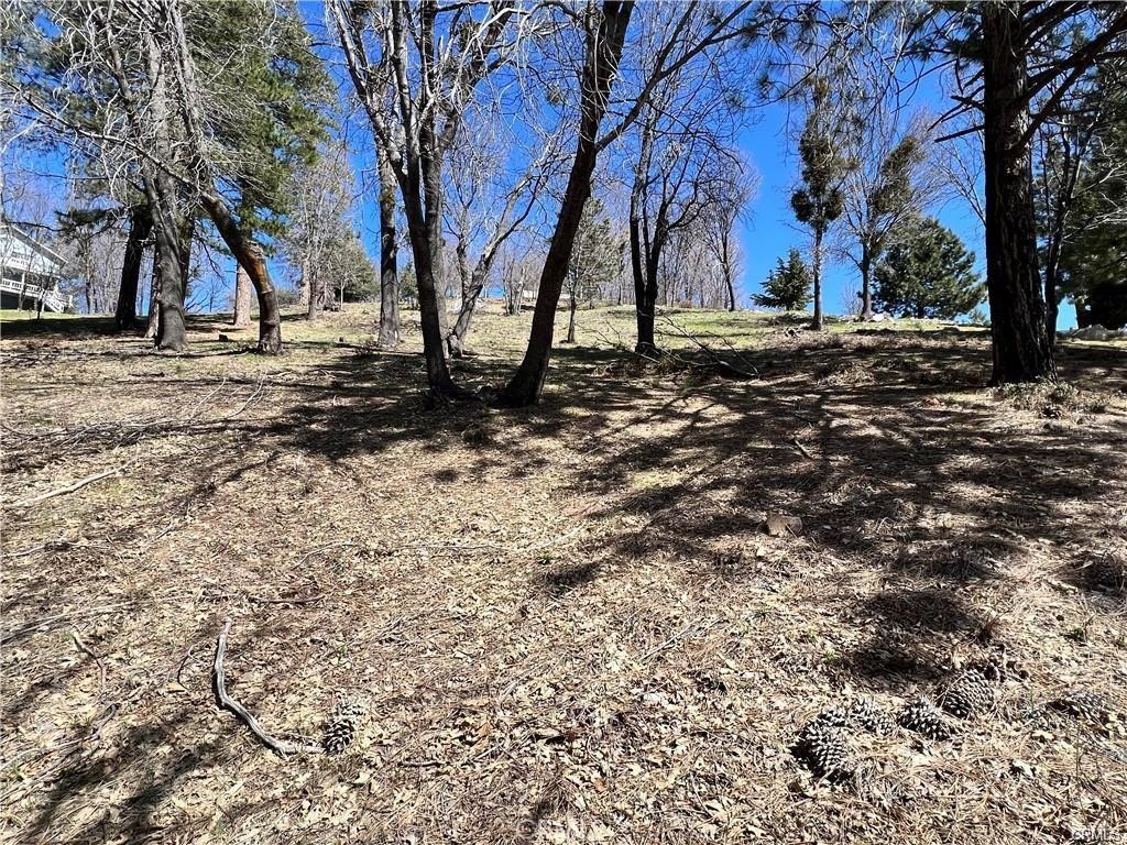 41 Fredalba Road