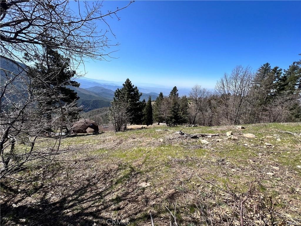 41 Fredalba Road
