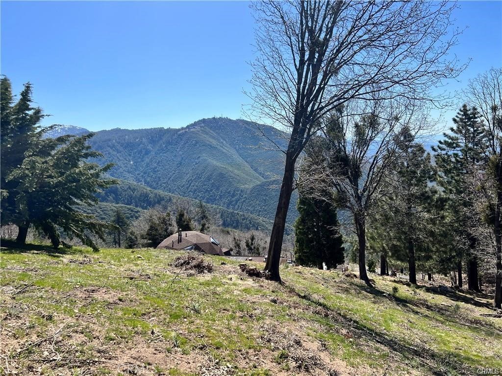 41 Fredalba Road