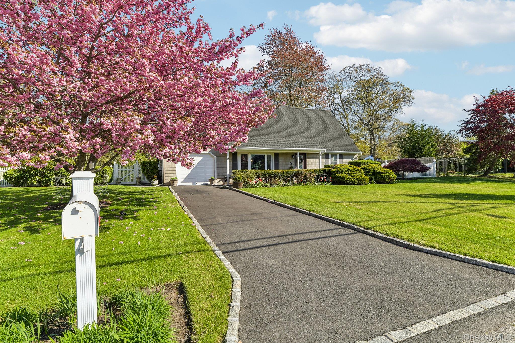 41 Orchid Road