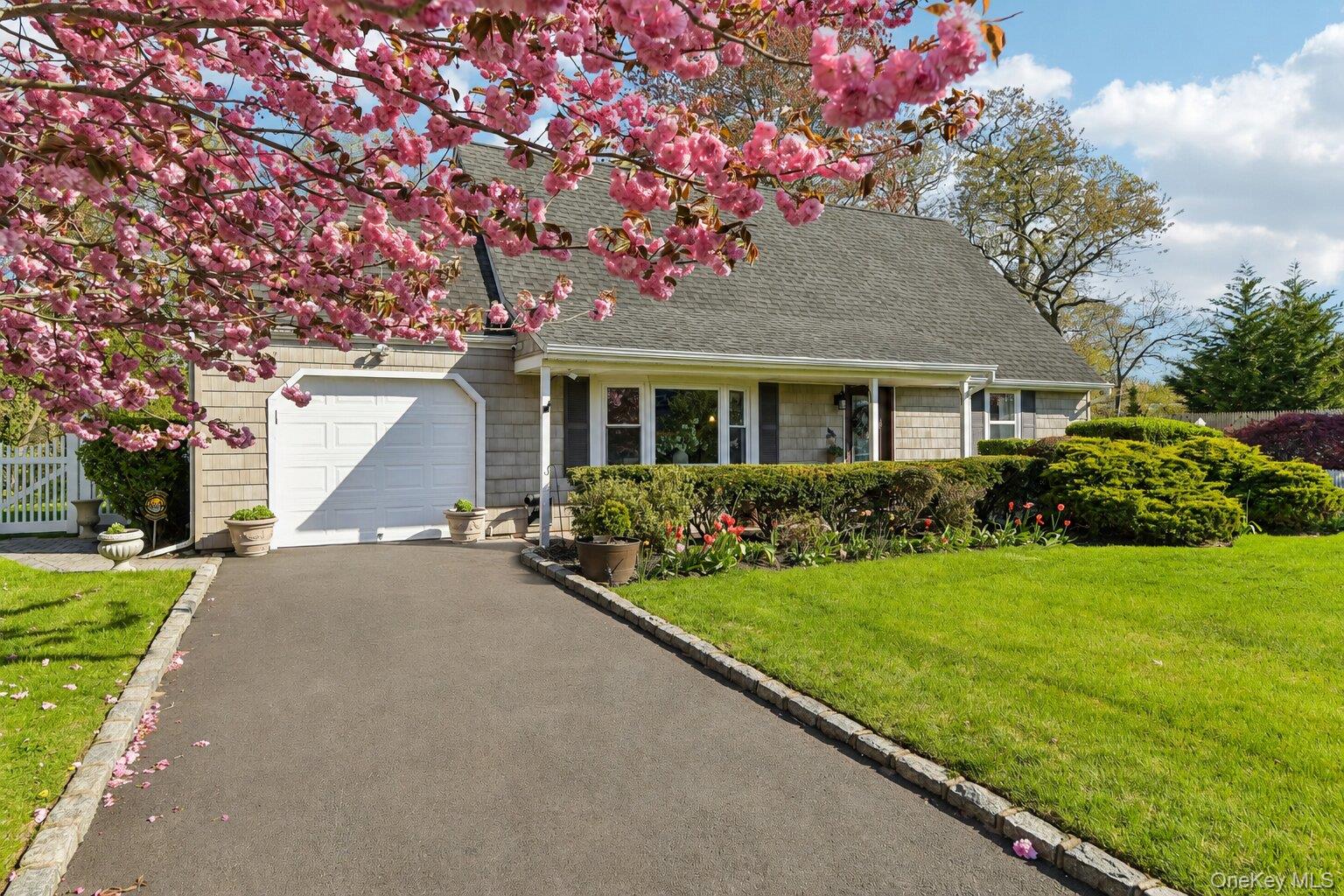 41 Orchid Road