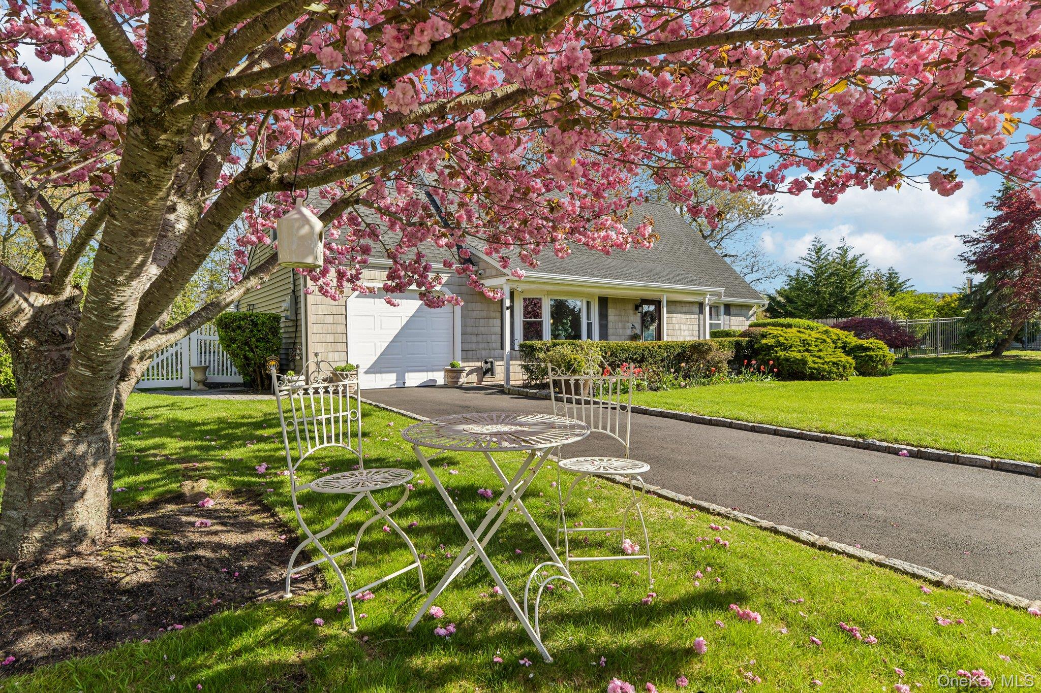 41 Orchid Road