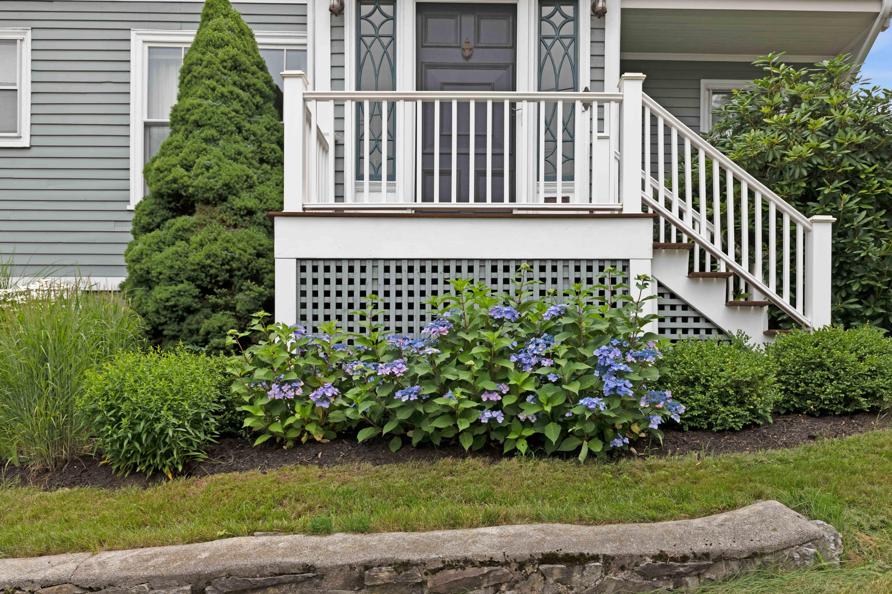 9 Forest Road