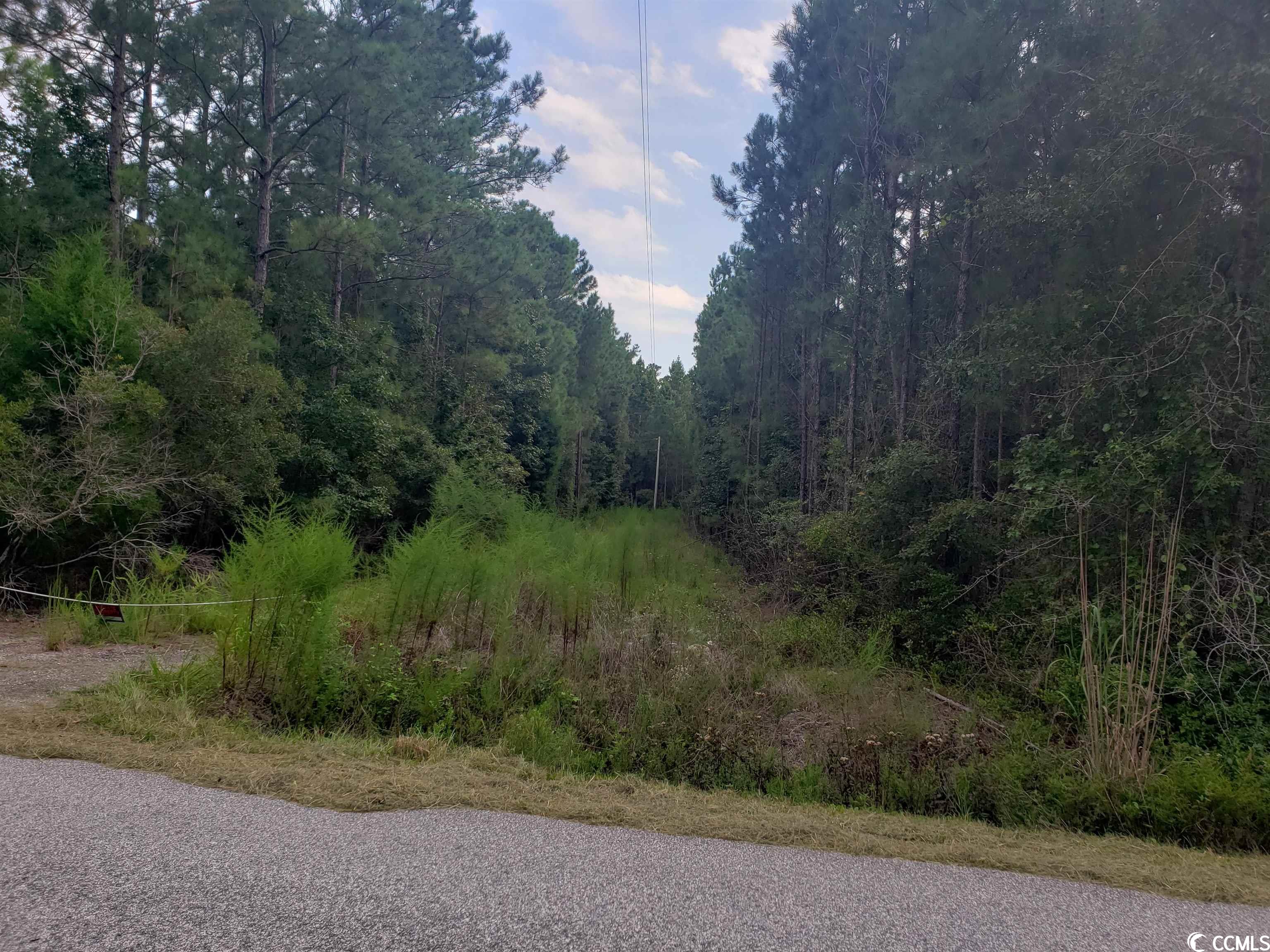 Tract C-1 Windsor Dr.