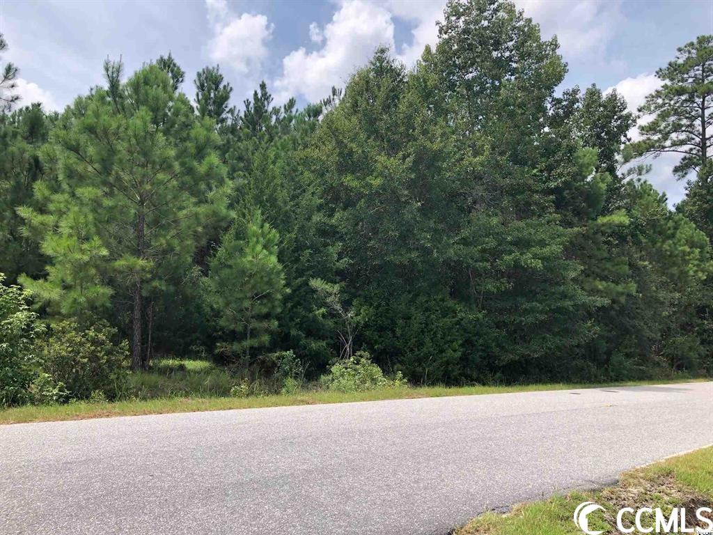 Tract C-1 Windsor Dr.