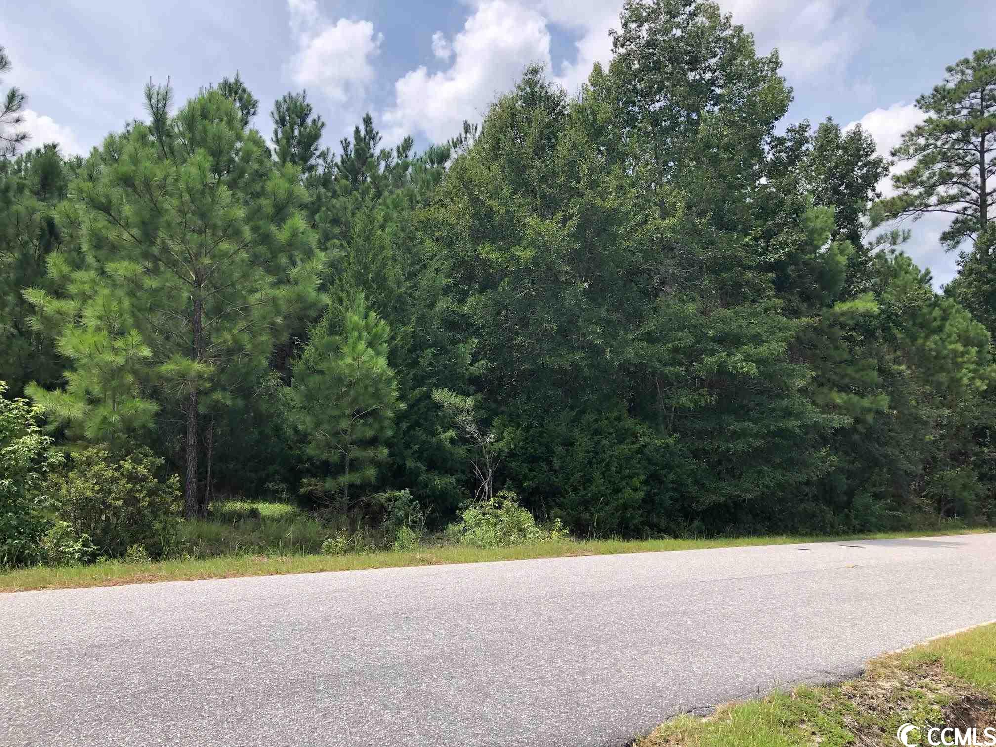 Tract C-1 Windsor Dr.