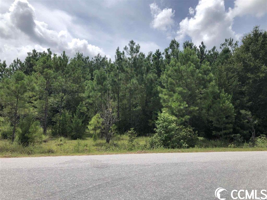Tract C-1 Windsor Dr.