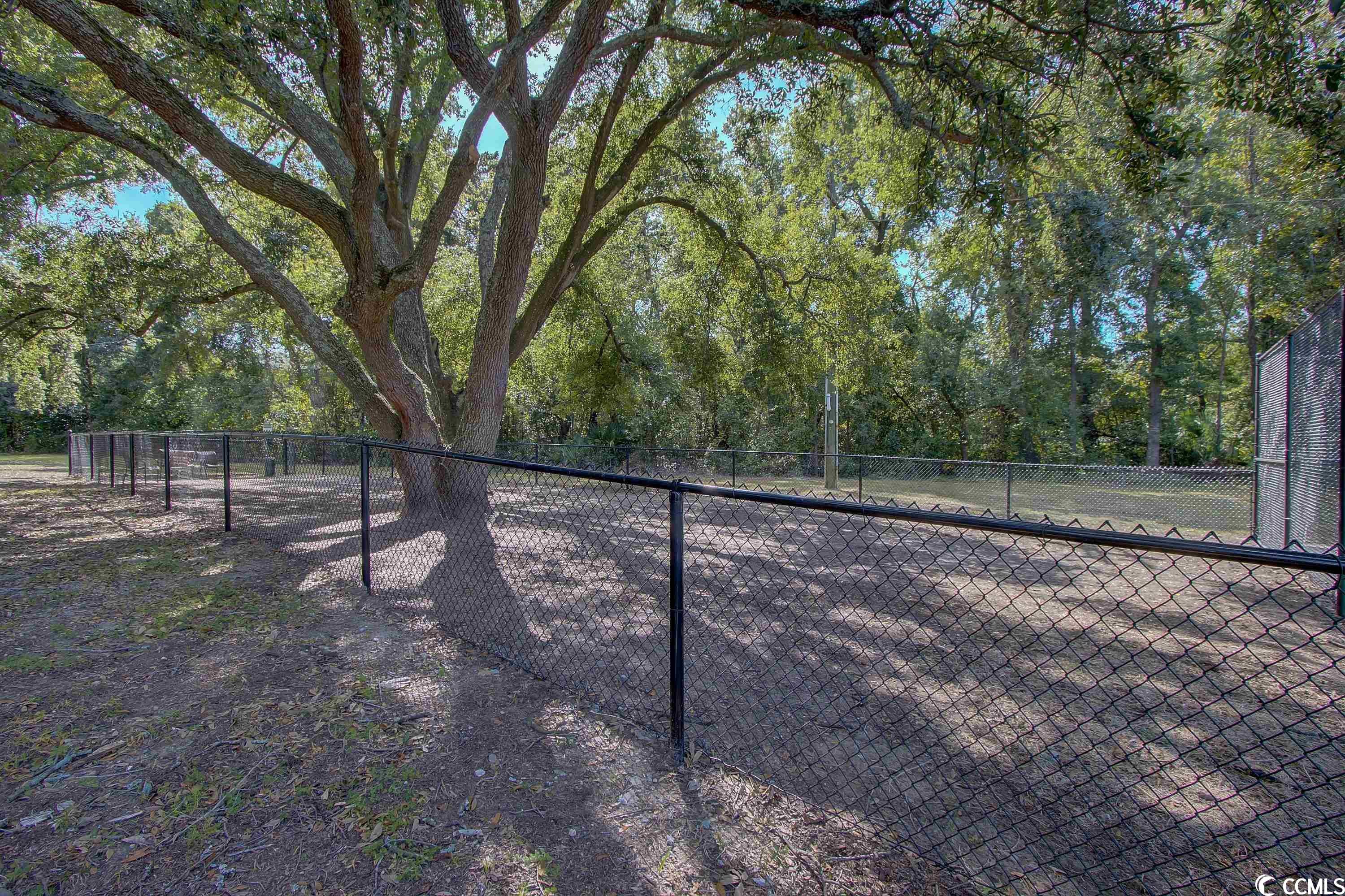 264 Alexandria Dr. Unit: 12
