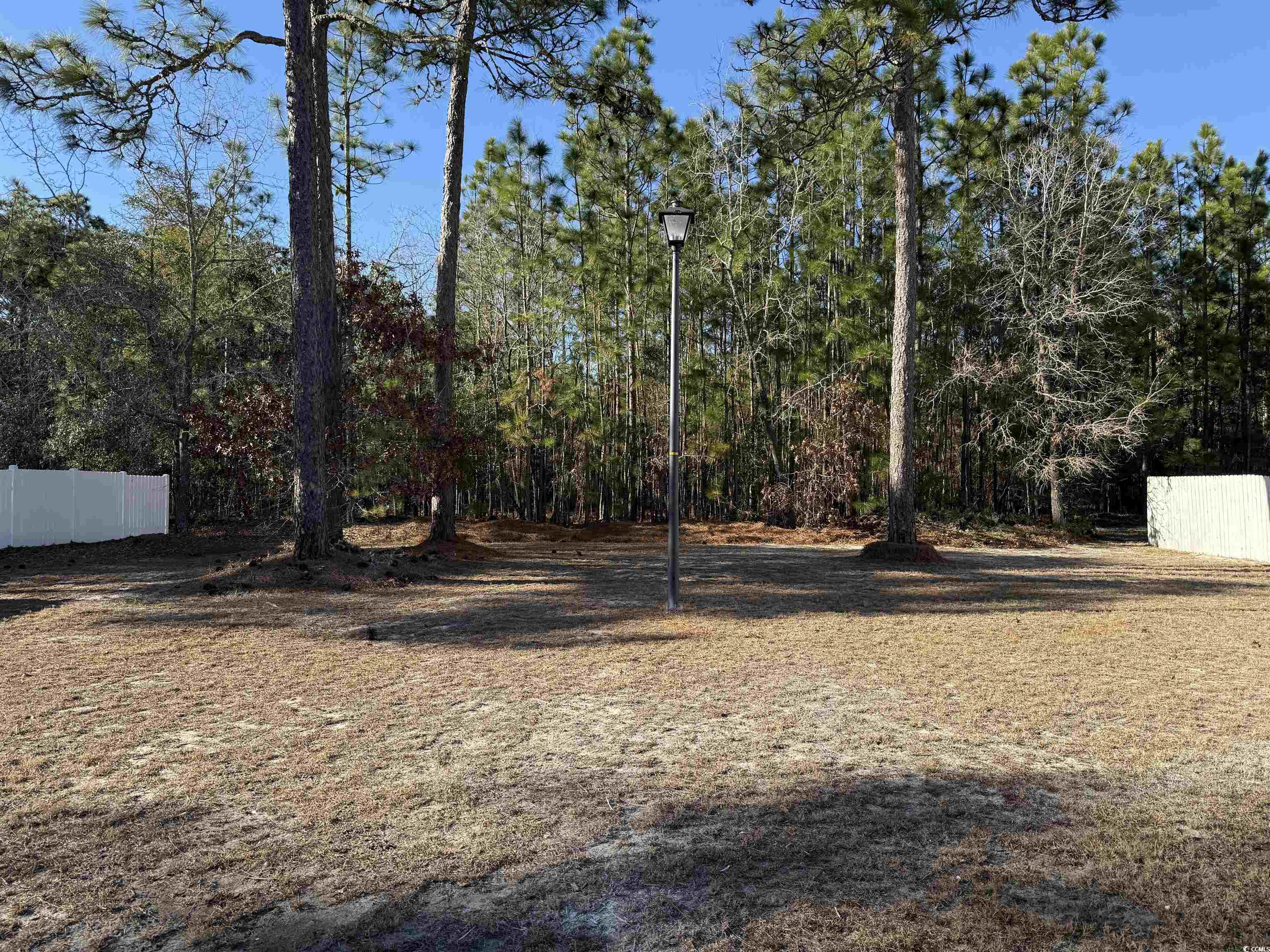 2958 Mary Hines Ln.