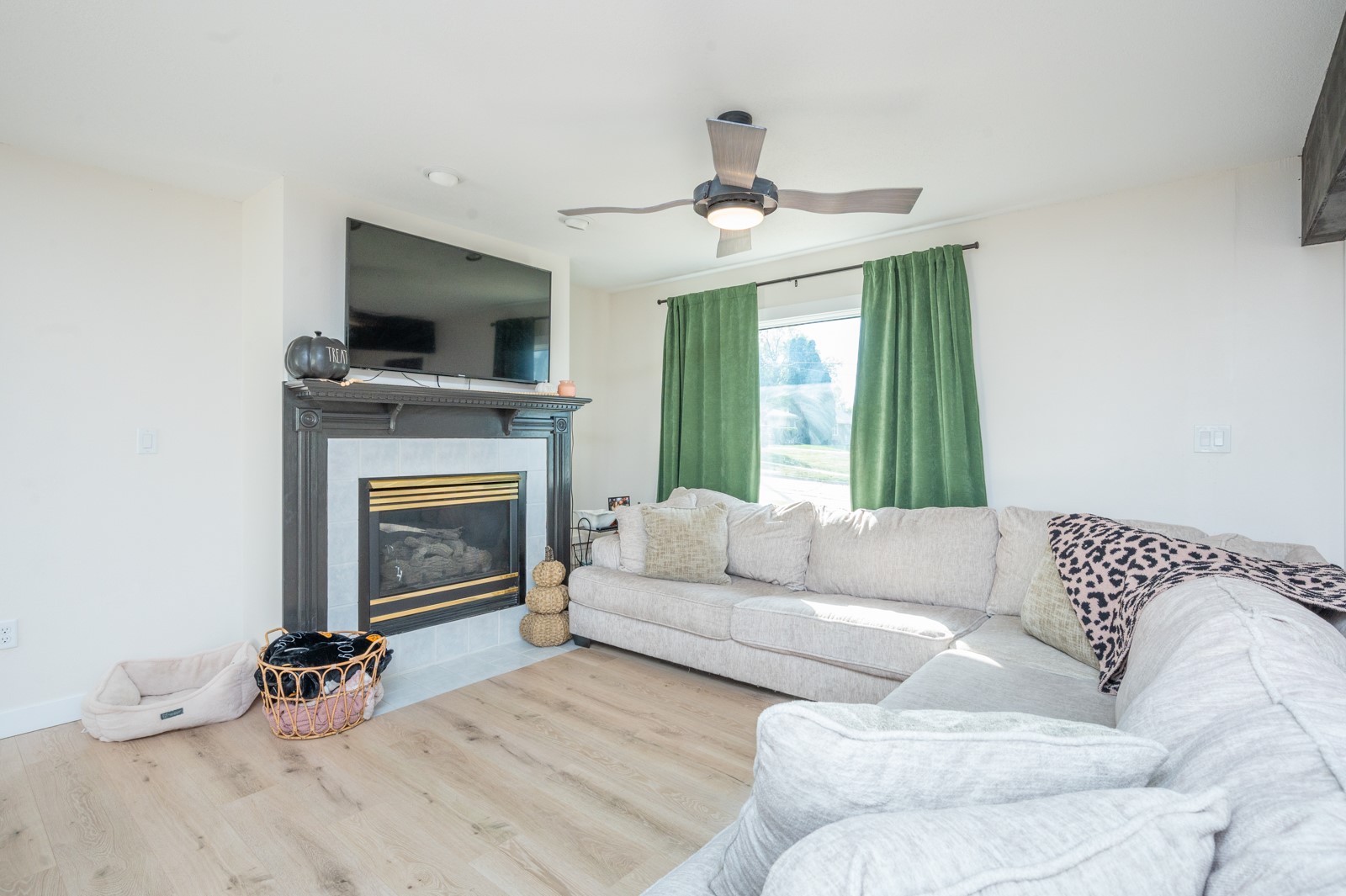 466 Palomino Parkway