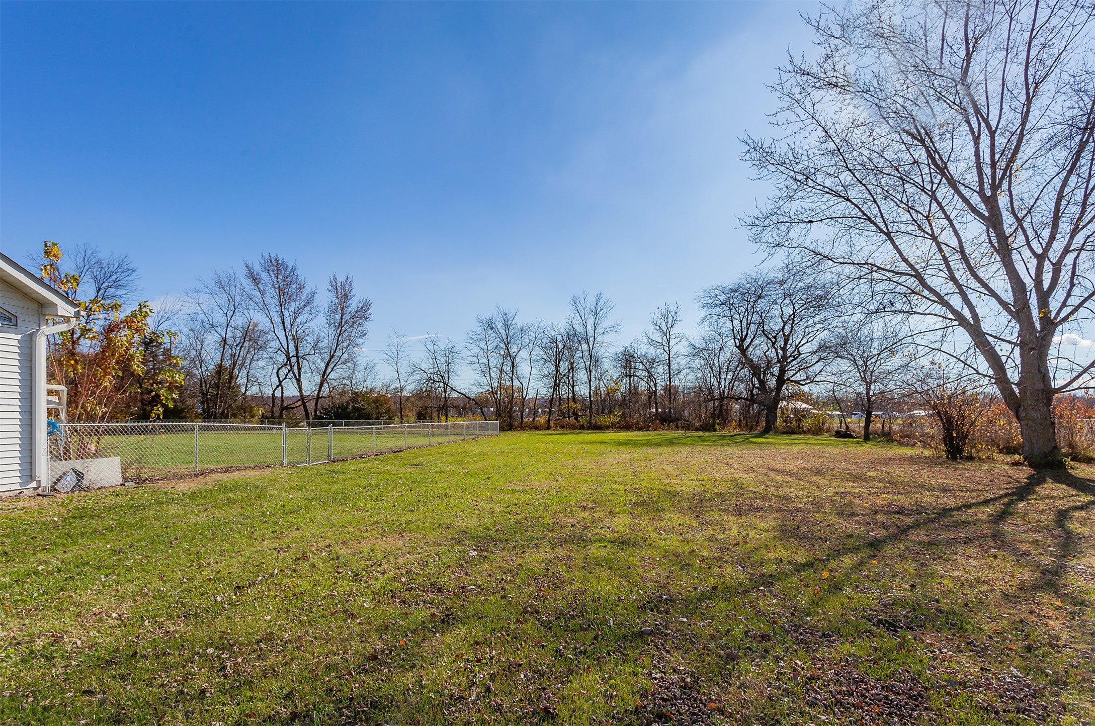 101 Williamson Street