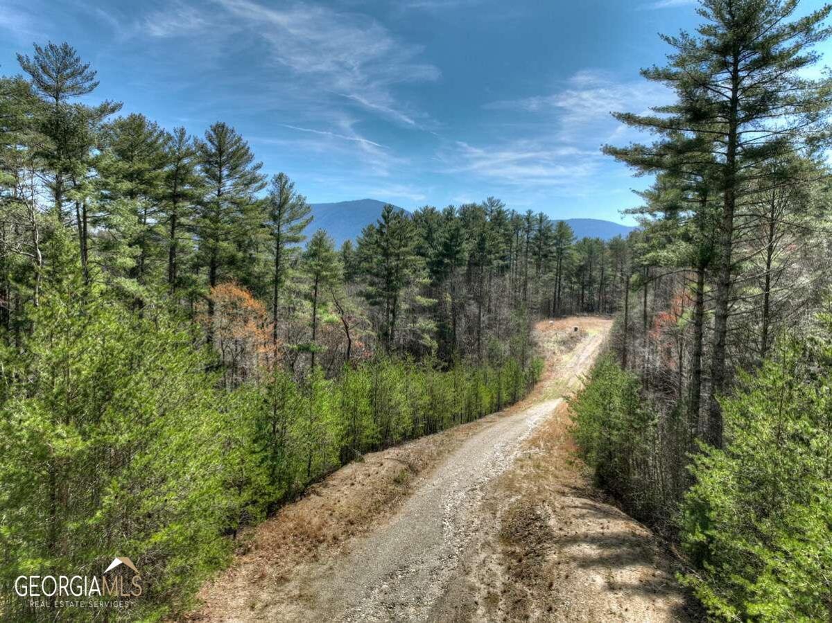 1200 Cherry Log Street