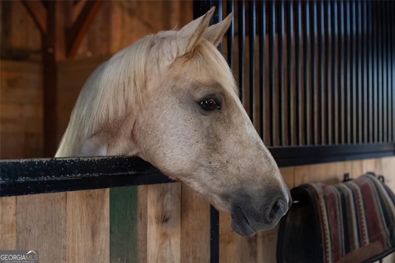 1990 Elder Mill Road