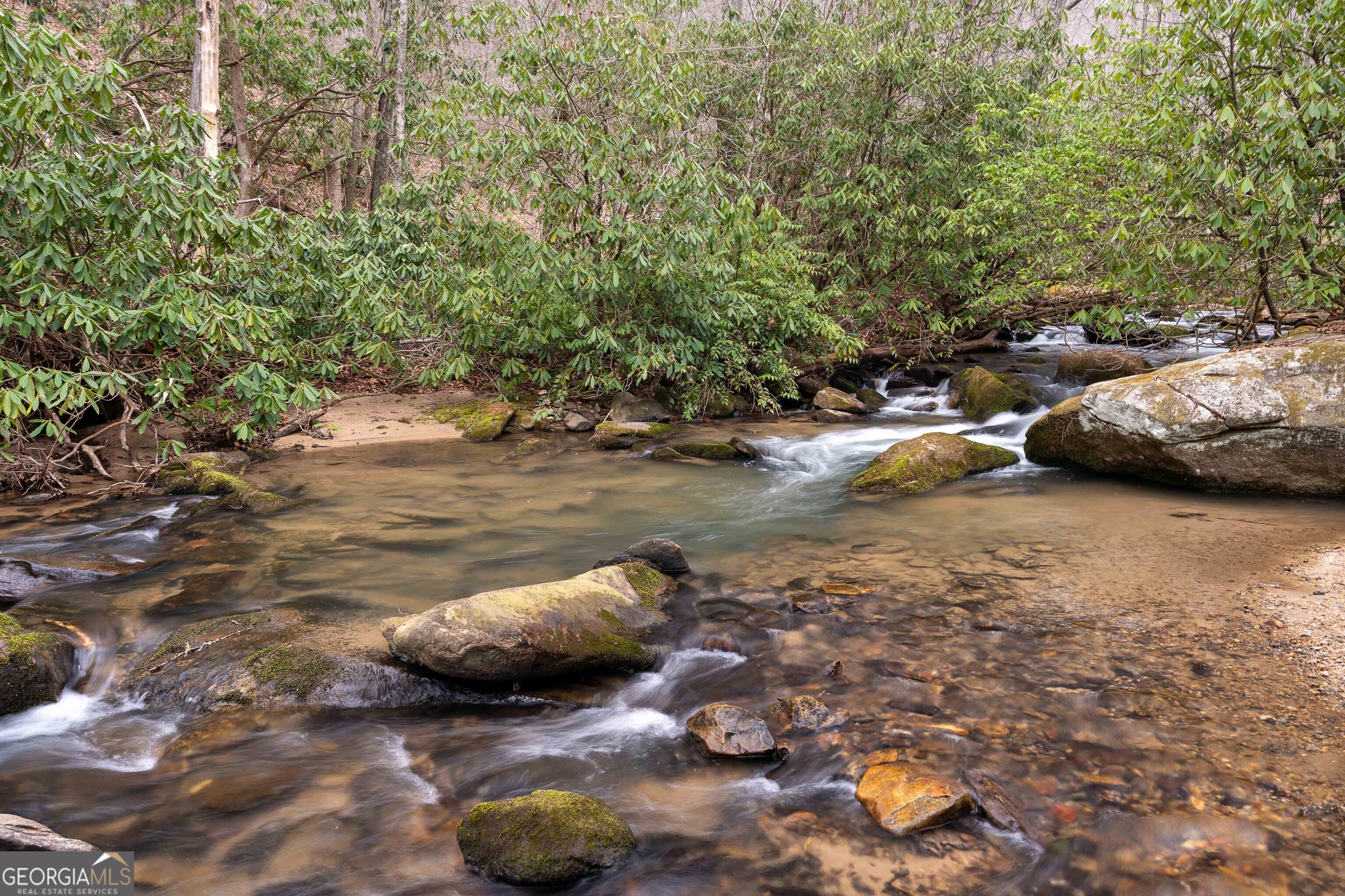 523 Rainbow Creek Road