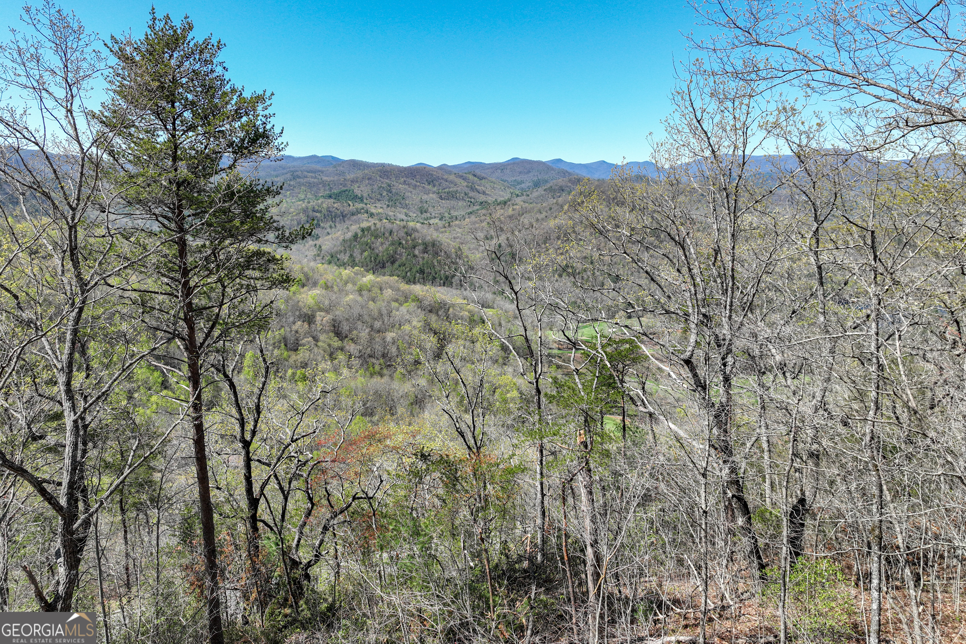 LOT C1 Grey Fox Trail