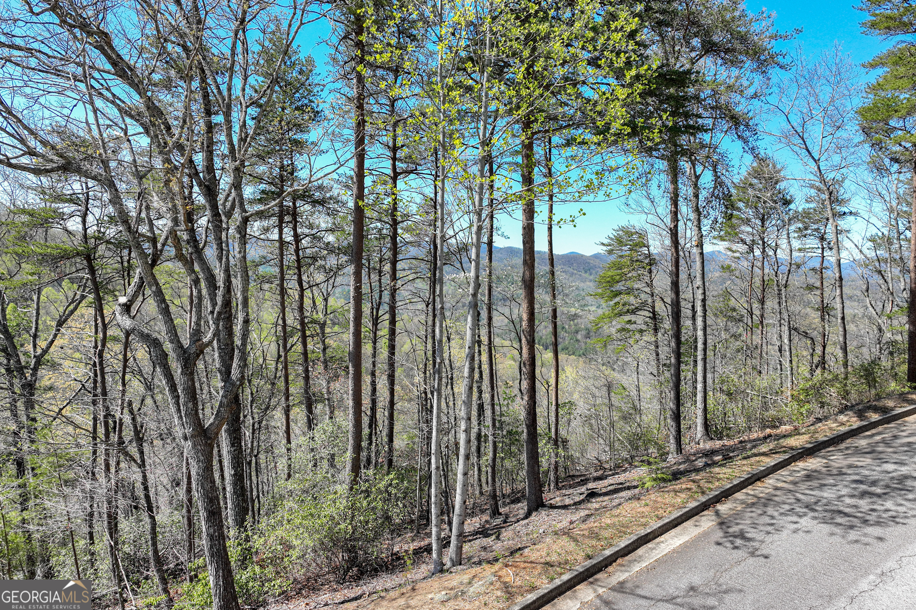 LOT C1 Grey Fox Trail