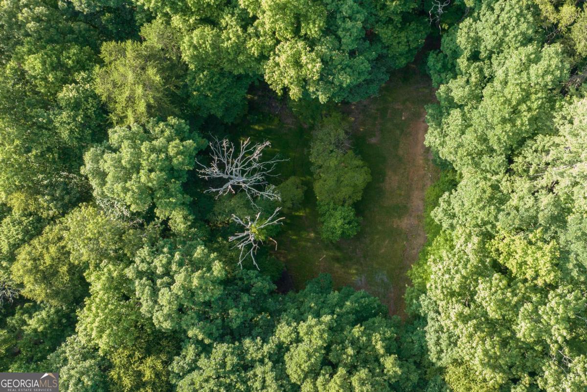 588 Pinetree Road