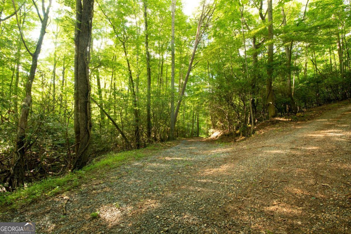 588 Pinetree Road