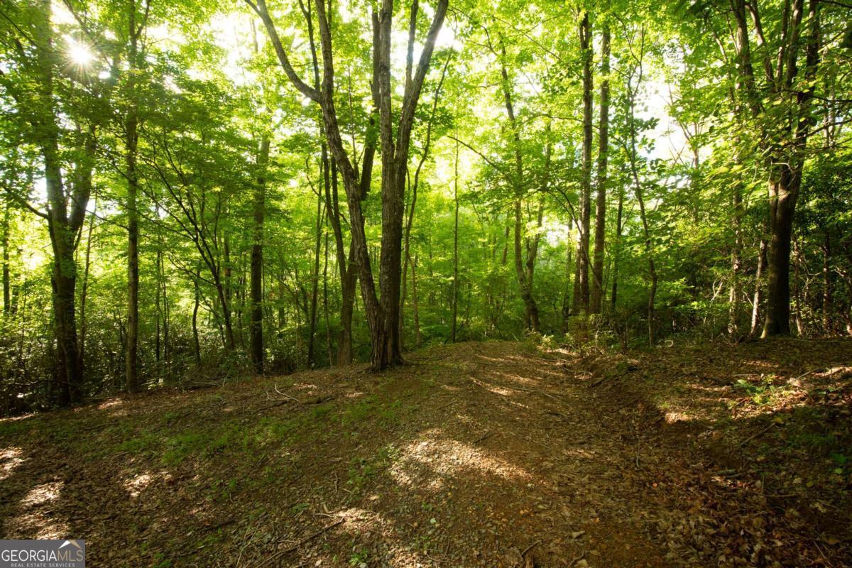 588 Pinetree Road