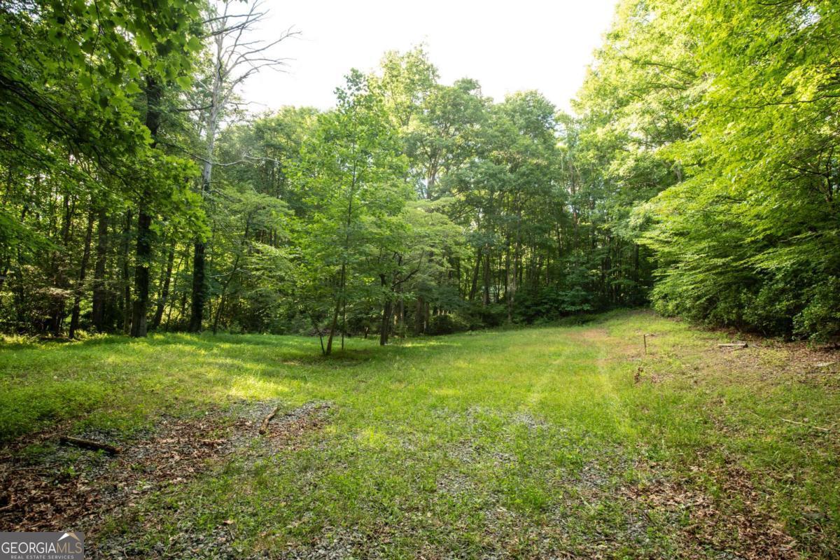 588 Pinetree Road