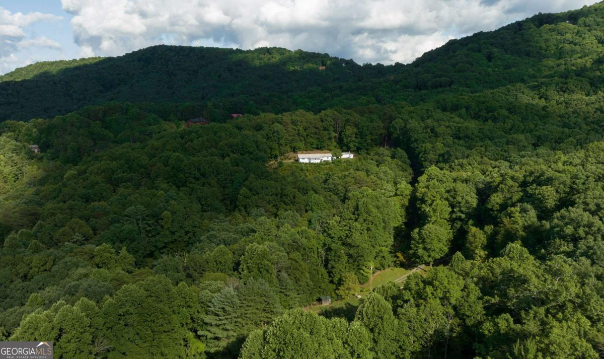 588 Pinetree Road