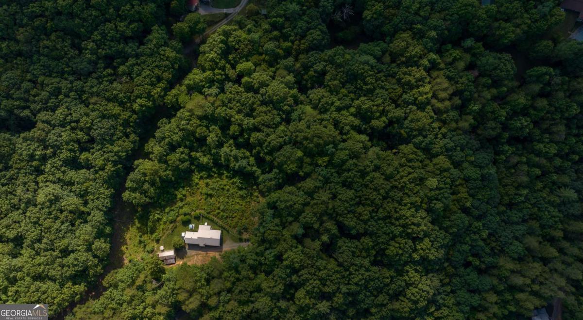 588 Pinetree Road