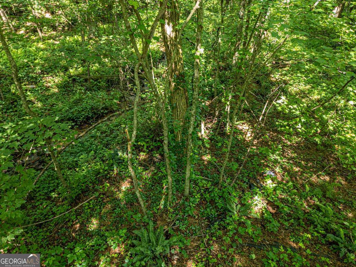 144 St Andrews Way # 144