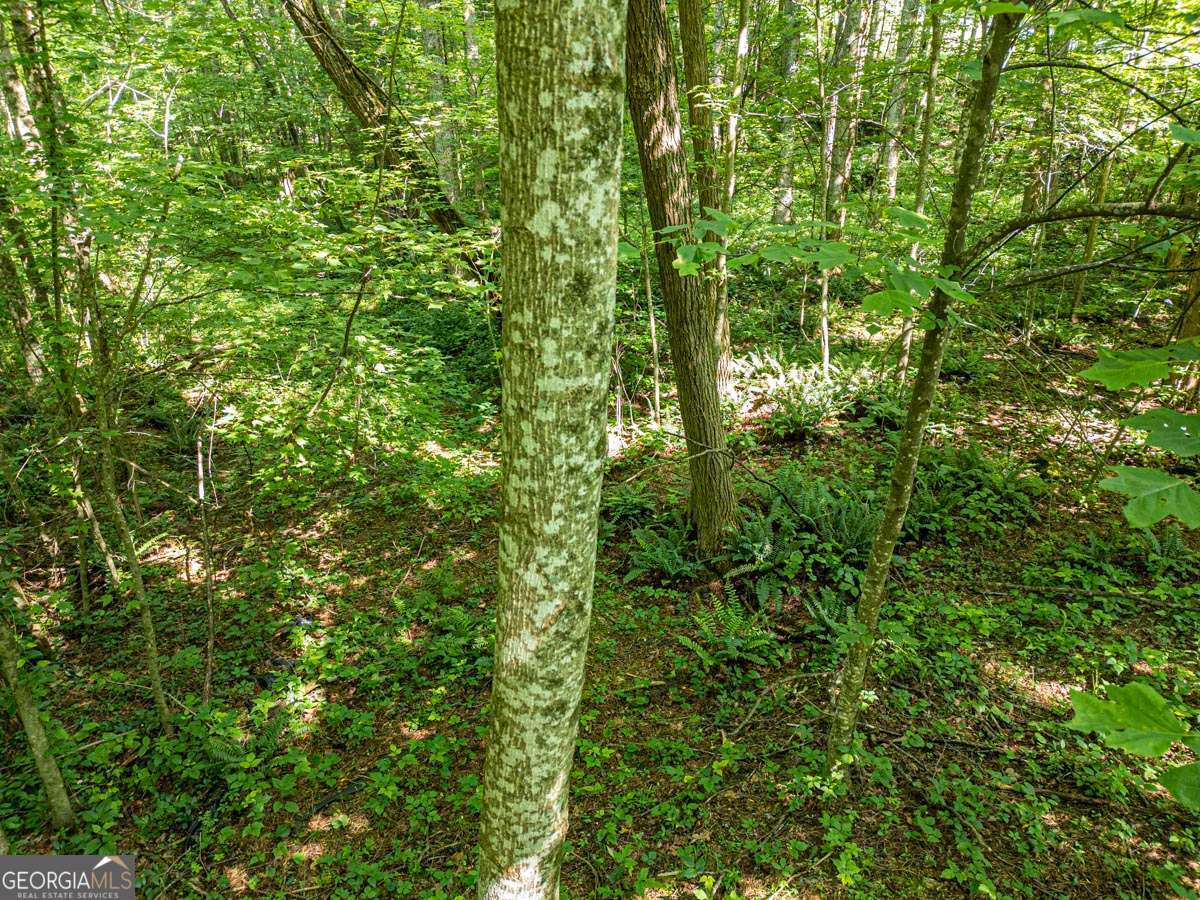 144 St Andrews Way # 144