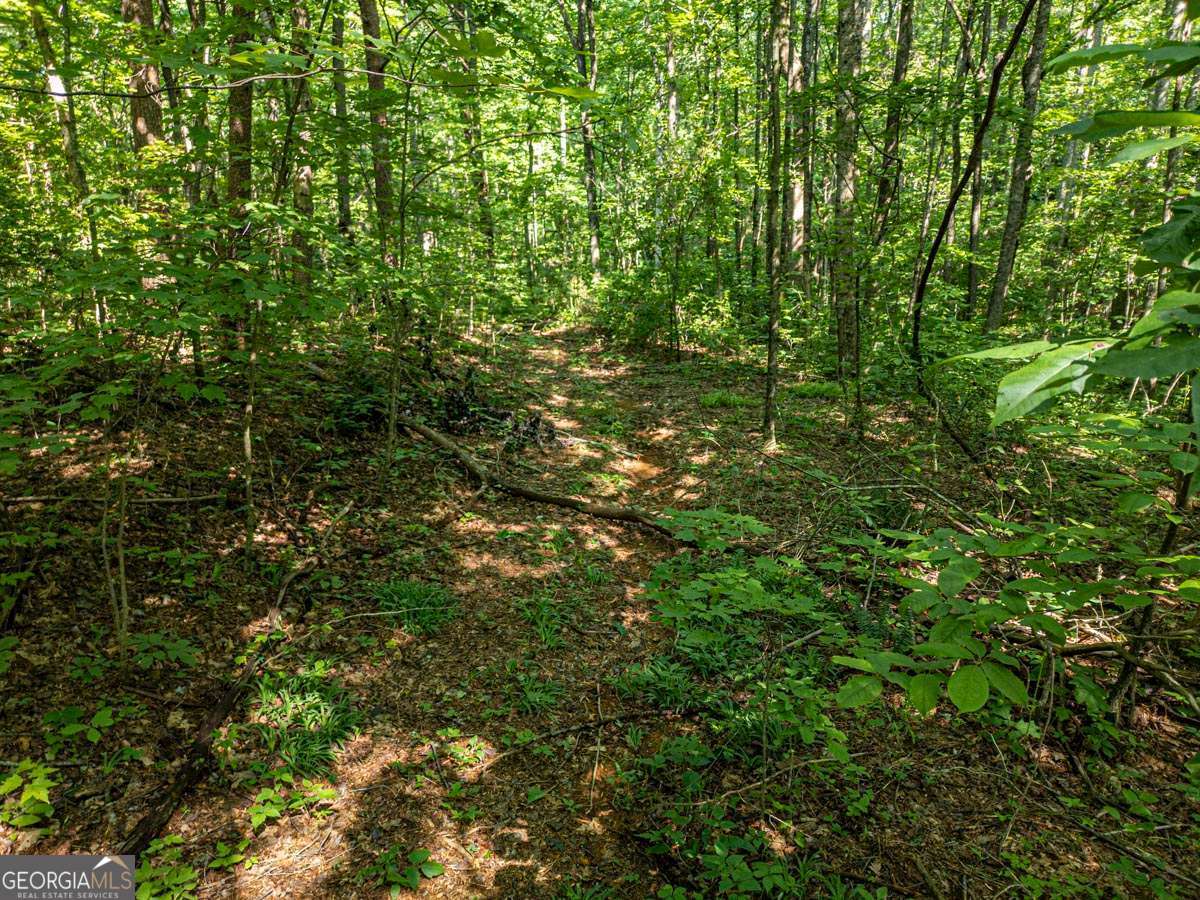 144 St Andrews Way # 144