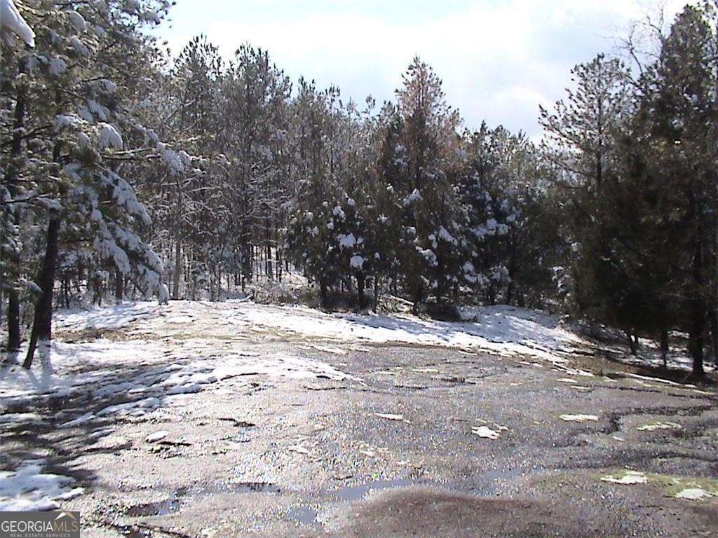 0 Atlanta Newnan Road