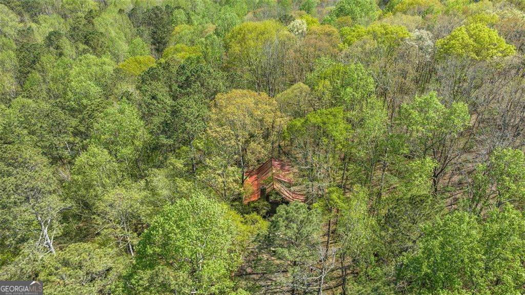 7790 Atlanta Newnan Road