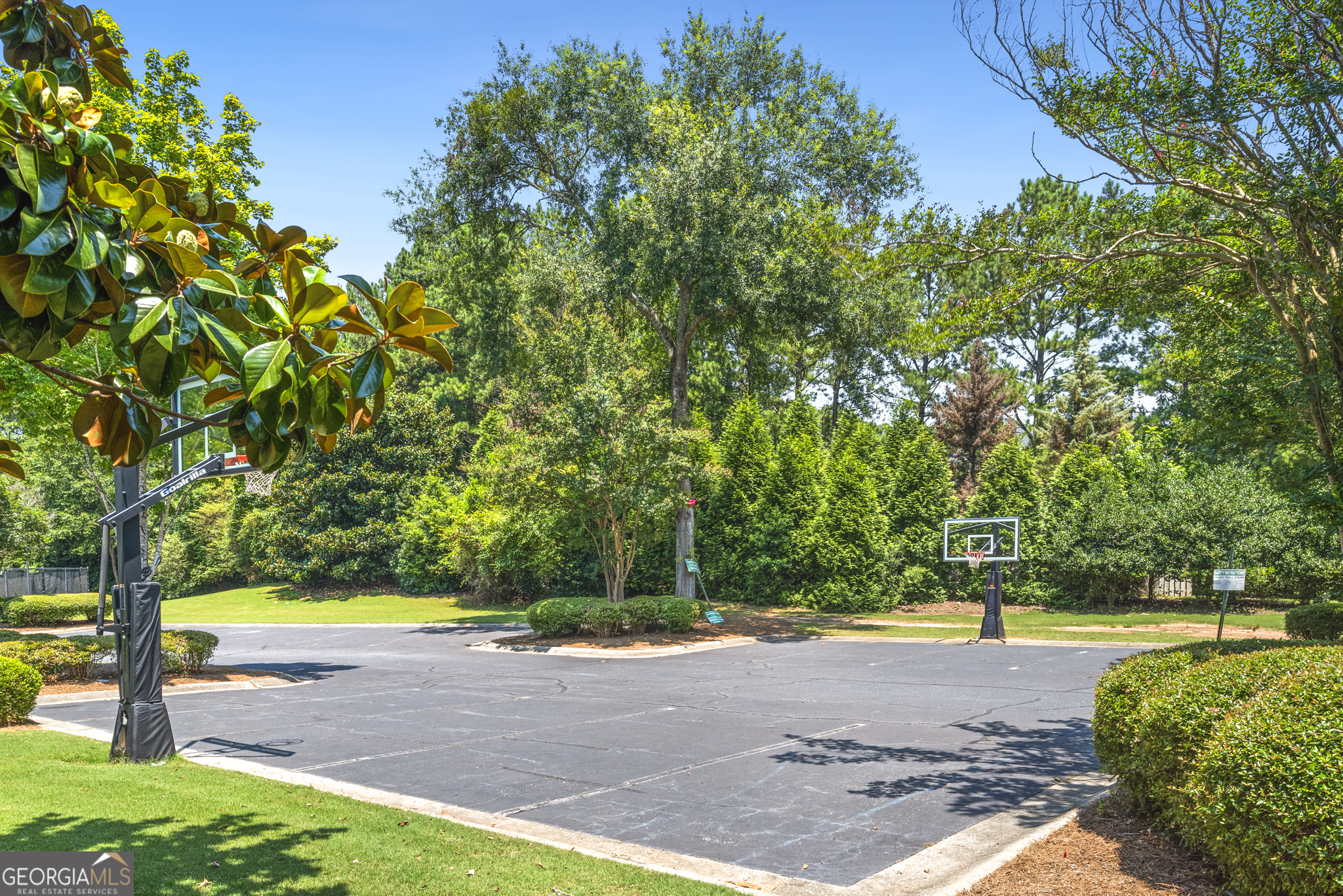 195 Trotters Ridge