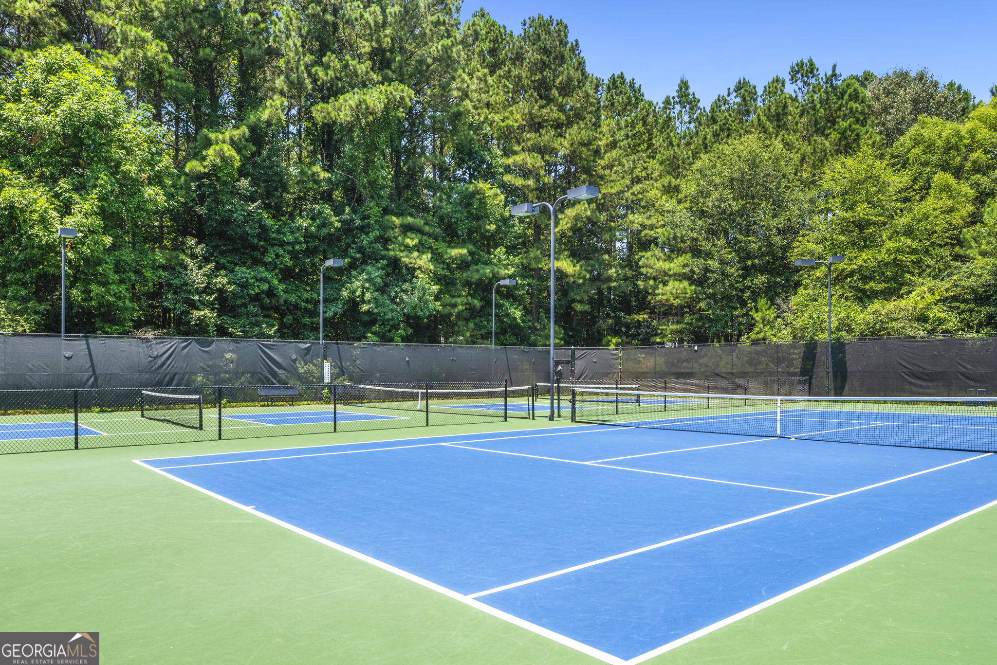195 Trotters Ridge