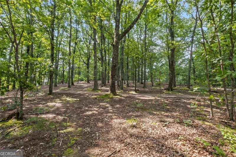 1706 BARNES MILL