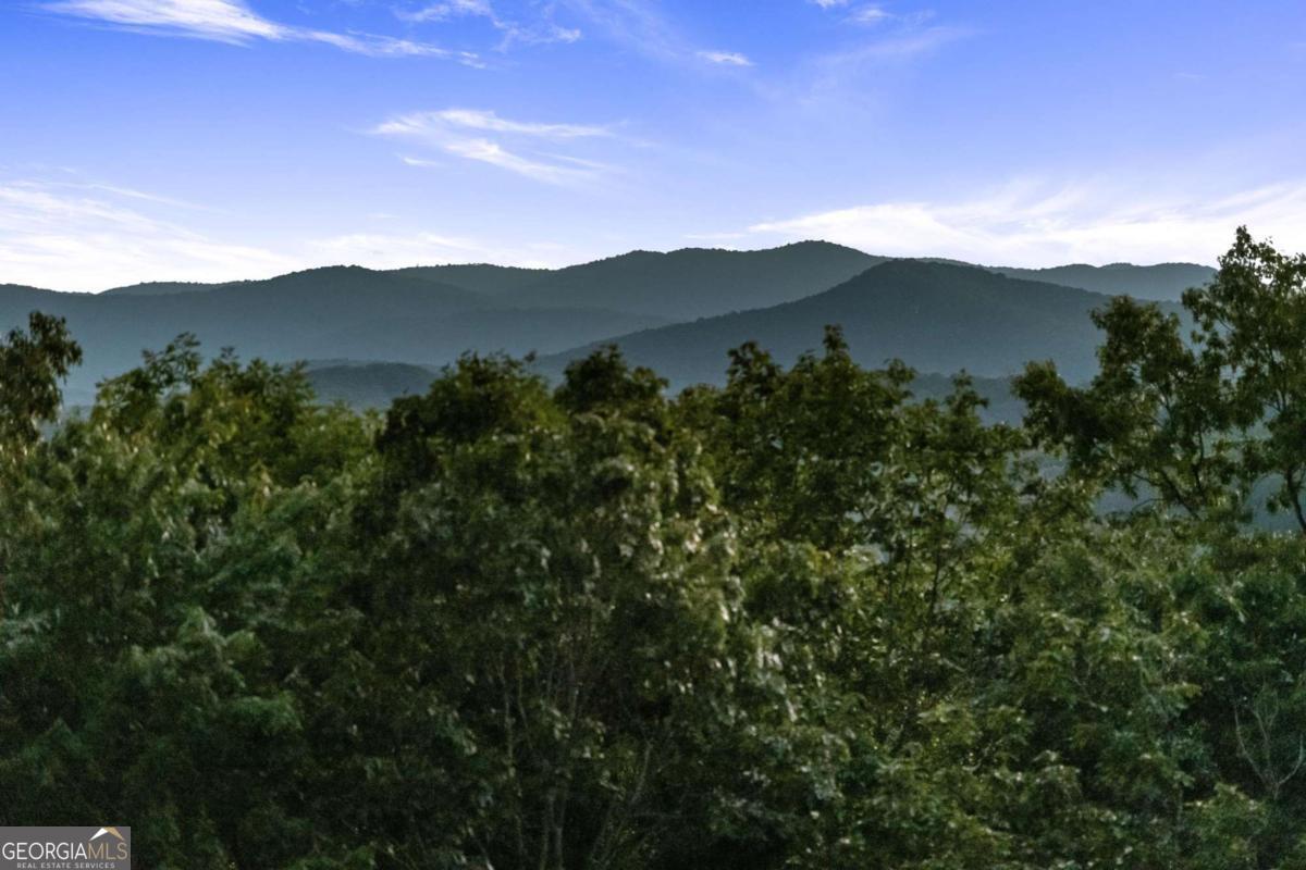 361 June Bug Lane, Blue Ridge