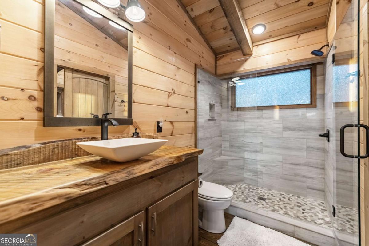 361 June Bug Lane, Blue Ridge