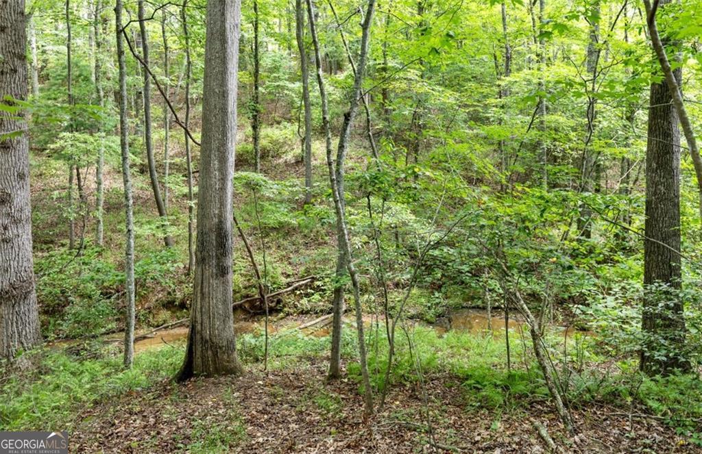 120 Brookhaven Trail