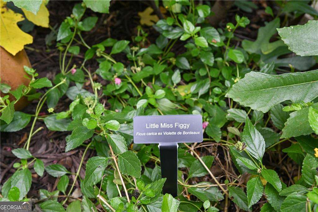 2067 Fairhaven Circle NE