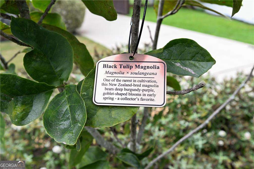 2067 Fairhaven Circle NE