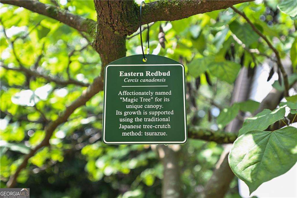 2067 Fairhaven Circle NE