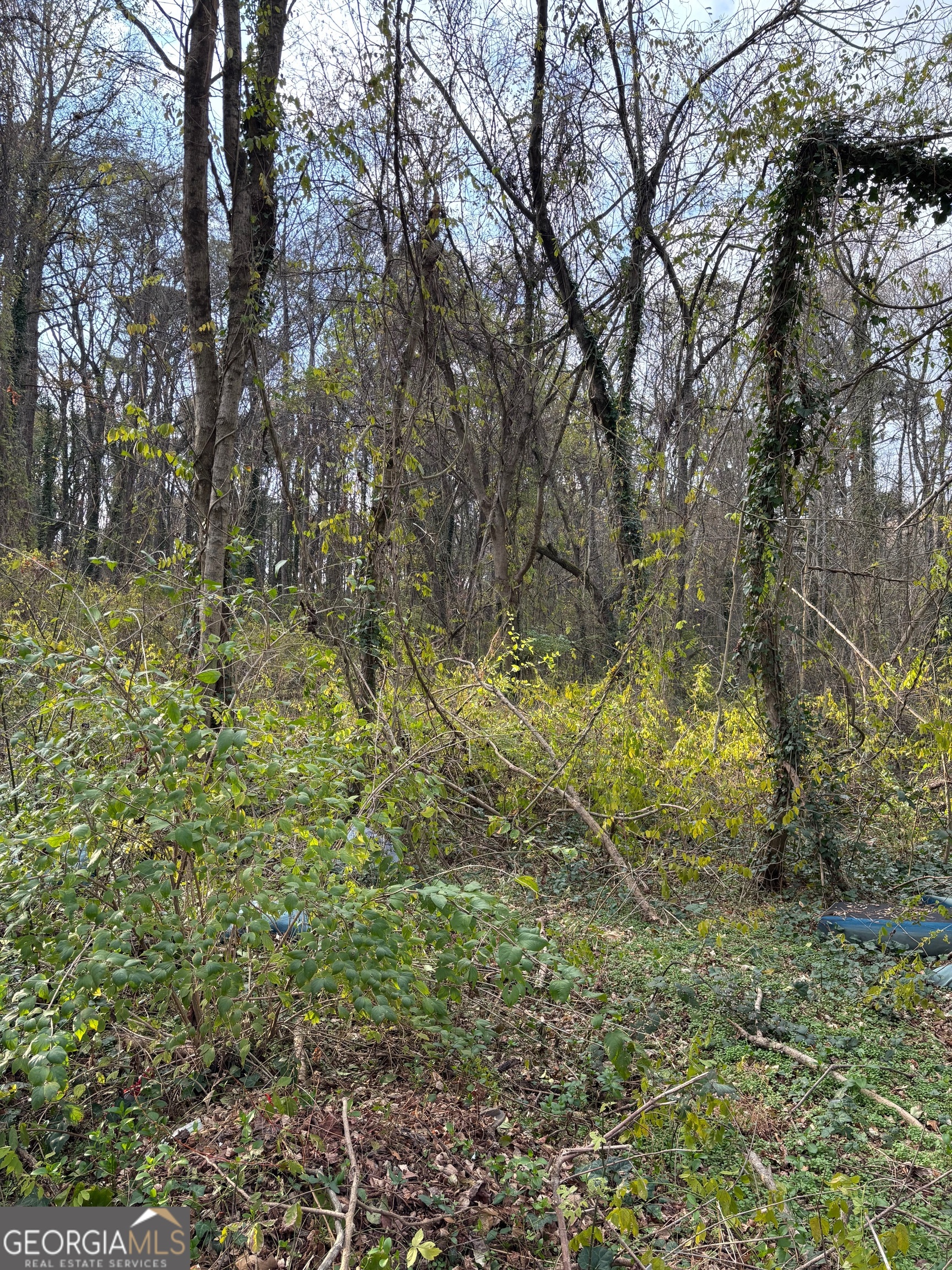 3231 Jonesboro Road SE