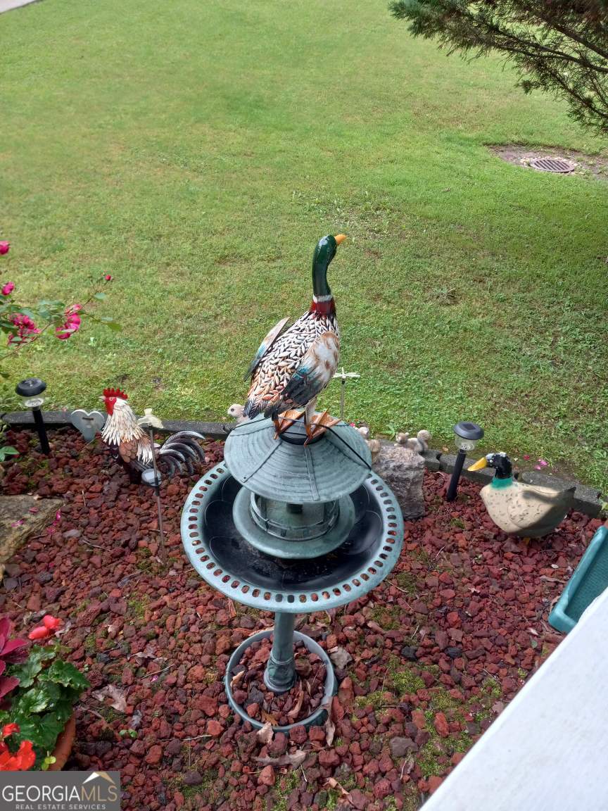 113 Joshua Farms Lane