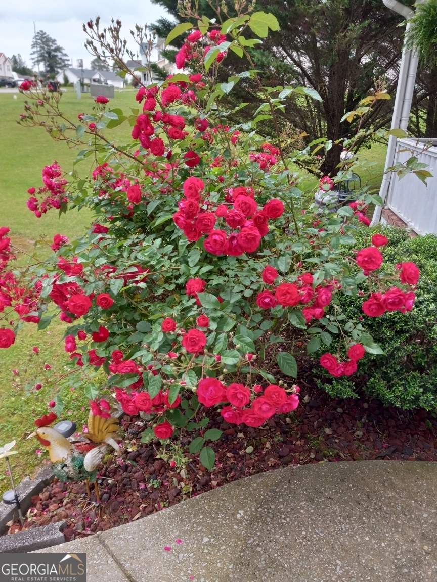 113 Joshua Farms Lane