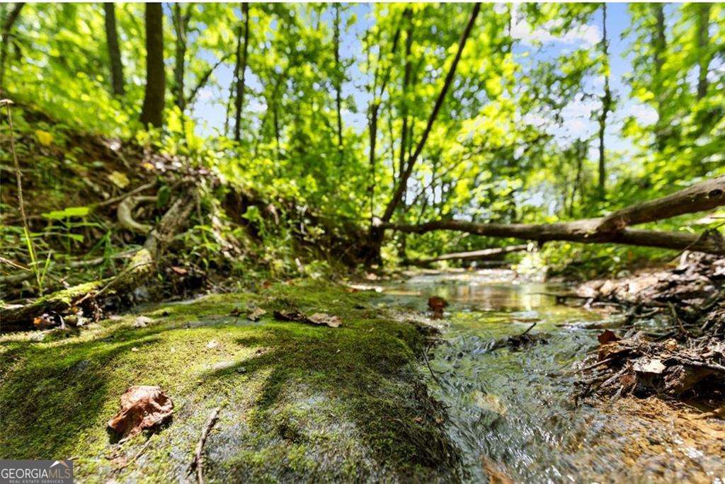 120 Brookhaven Trail