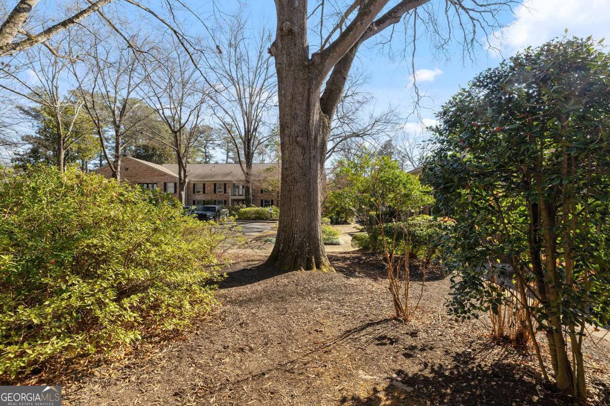 3650 Ashford Dunwoody Road NE # 217