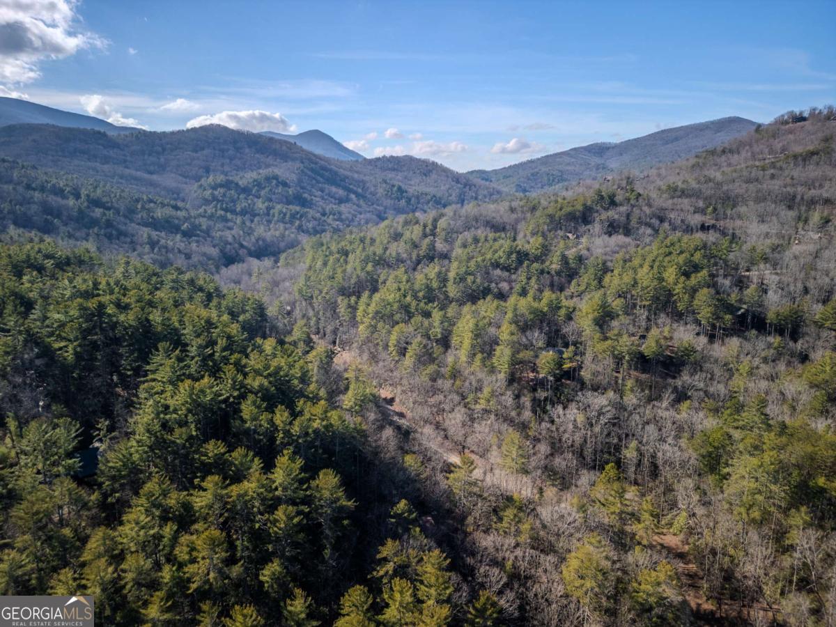 100 Stanley Creek Crossing