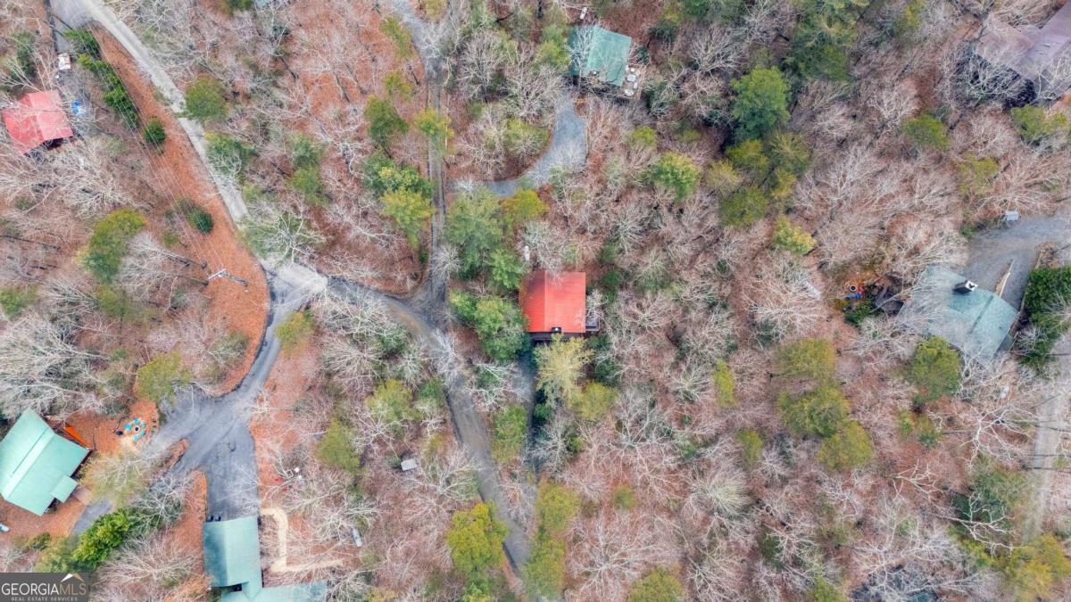 1165 Little Bushy Head Road # 220